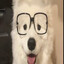 KonikPolny67's avatar