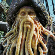 加勒比海第一深情章鱼a