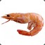 MajesticShrimp