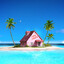 tylenol