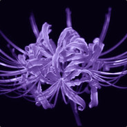 奈何桥头我等你