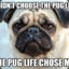 pug life