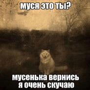 этиловый воин
