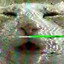 catgirl logi