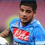 Insigne