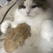 讨厌你永远一副死了妈的样子