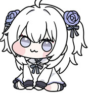 東洋雪蓮（五歲）