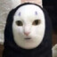 Ayu