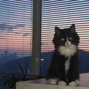 超绝肌肉线条壮壮妈