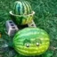 Melon-Pult