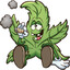 ChilliTKush