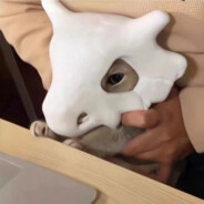 小只因不懂鸡酱法