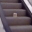 mayonnaise on an escalator