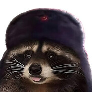 racoon