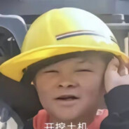 严辉村范小勤大王