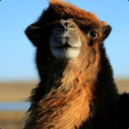 湾湾是我孙子。