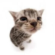 melvyn's avatar