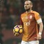 WESLEY SNEIJDER