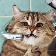 her - steam id 76561197961461849