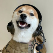 汪汪队-一只梆梆狗