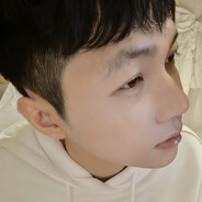 摆