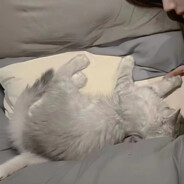 我是ikun 鸡你太美