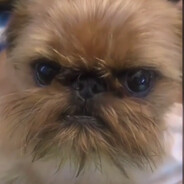 ЧЕРНЫЙ МЕЧНИК