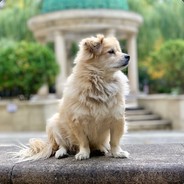 [✡] 𝐕𝖎𝖈𝖎𝖔𝖚𝖘 [♬]