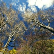 (๑•̀ㅂ•́)و✧修修♡大魔女