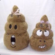 随风飘荡的痕迹