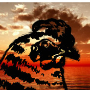 文明领袖芦花鸡