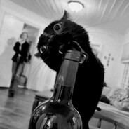 strogo mentaliti's avatar