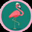 FLAMINKO