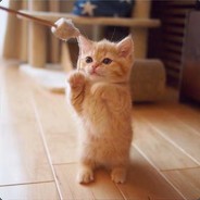 愿永恒丿‘逝去‘’