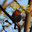 whiskeyo