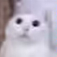 恋禁爱止的单身日记