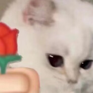 华中农业大学农业工程第一沙