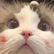 可你的眼里也曾有光