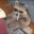 kitsuslab_