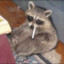 kitsuslab_