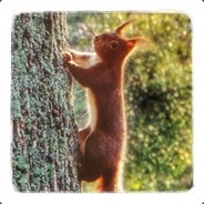 kaylnaris avatar