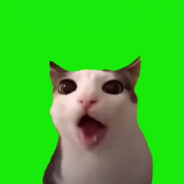 Parsifal - steam id 76561198769057017