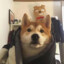 星辰锁入乔