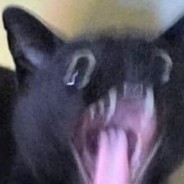 Kito-