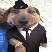 pixel_dog2