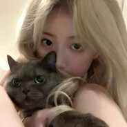 「无极帝国」ʚ呵呵 ɞ