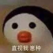 哥的心灬禁止访问