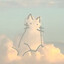 White's avatar