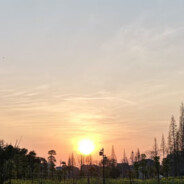 梦亦念卿醒亦念