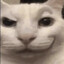 Brother Goofus
